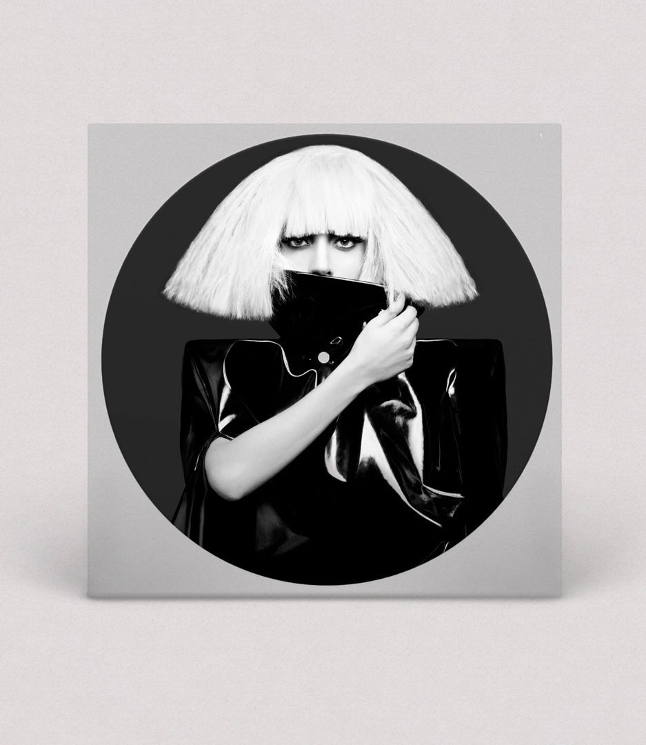 LADY GAGA The Fame Monster LP NEW VINYL PICTURE DISC Bad Romance Monster Beyonce