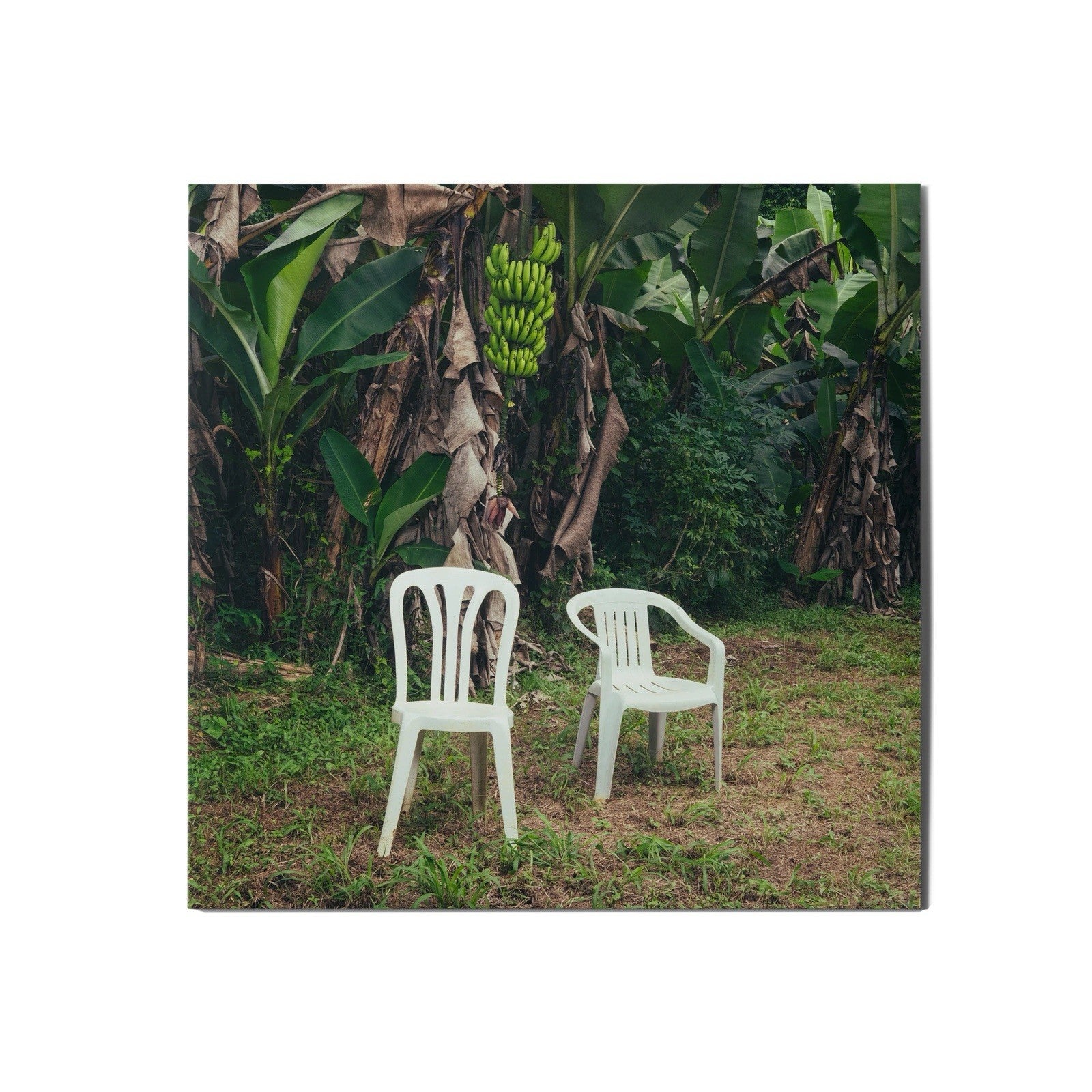 Bad Bunny - DTMF - Debi Tirar Mas Fotos Double  Blue Vinyl Gatefold - SEALED