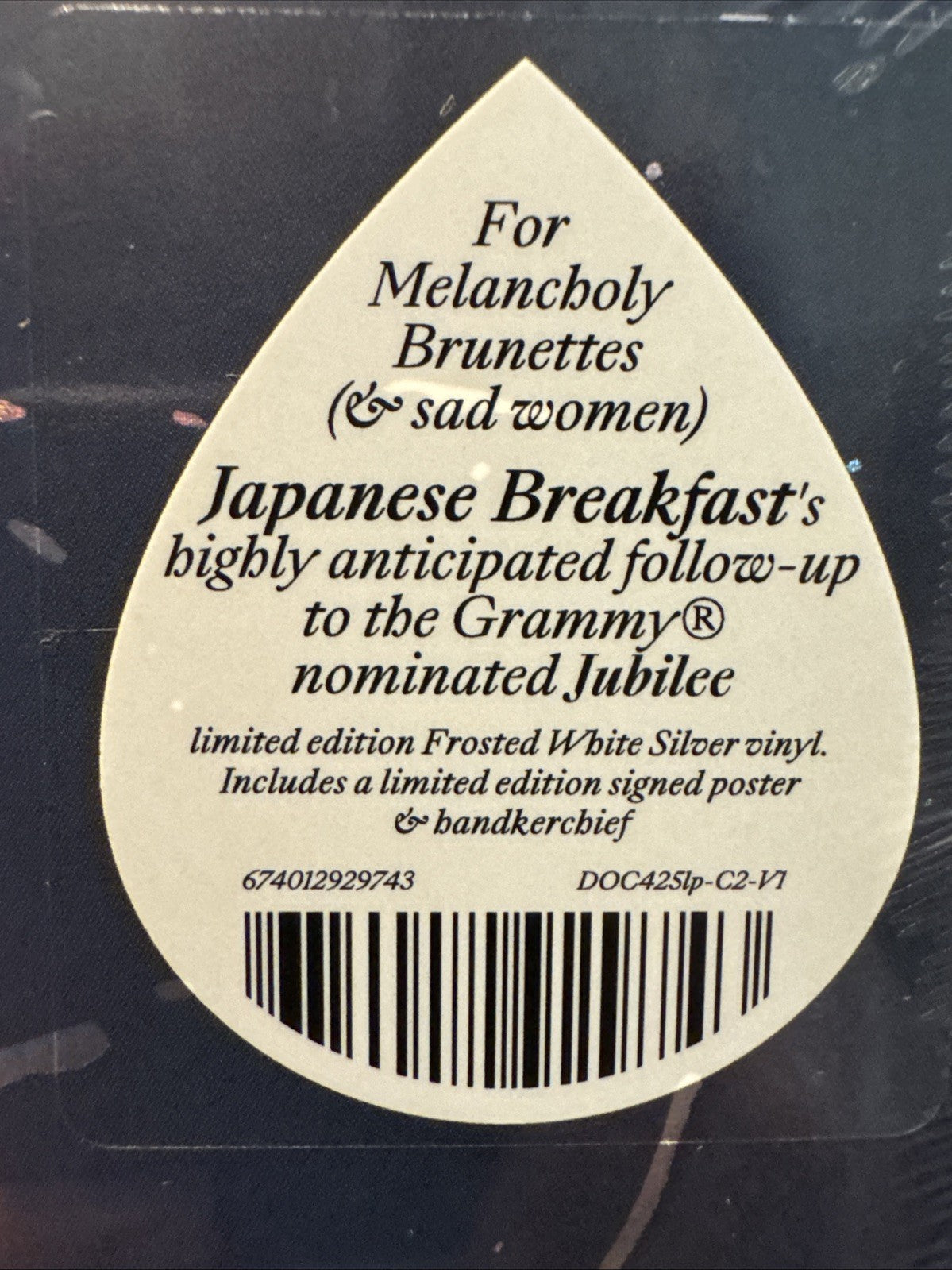 Japanese Breakfast - (Signed Poster) For Melancholy Brunettes DELUXE Vinyl LP